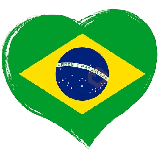 BOM DIA BRASIL 🇧🇷 sticker 14