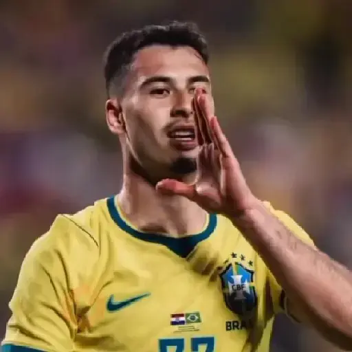 🇧🇷 Brasil 🏆Mundial 2026⚽🥅 sticker 12