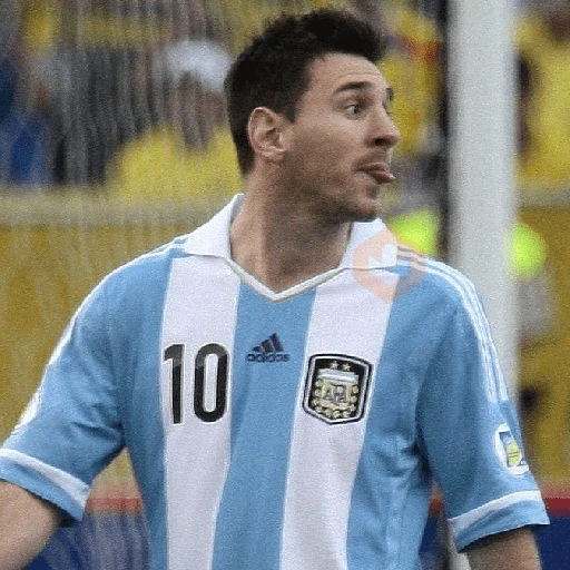 Lionel Messi sticker 11