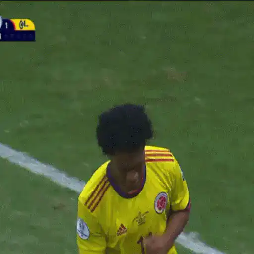 Selección Colombia sticker 13