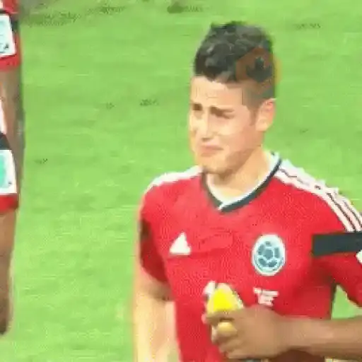 Selección Colombia sticker 15