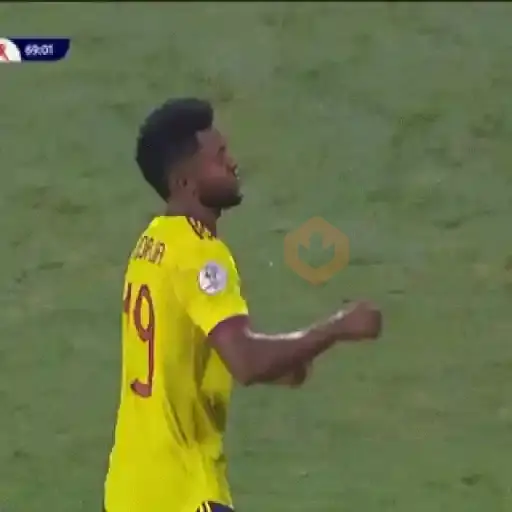 Selección Colombia sticker 14