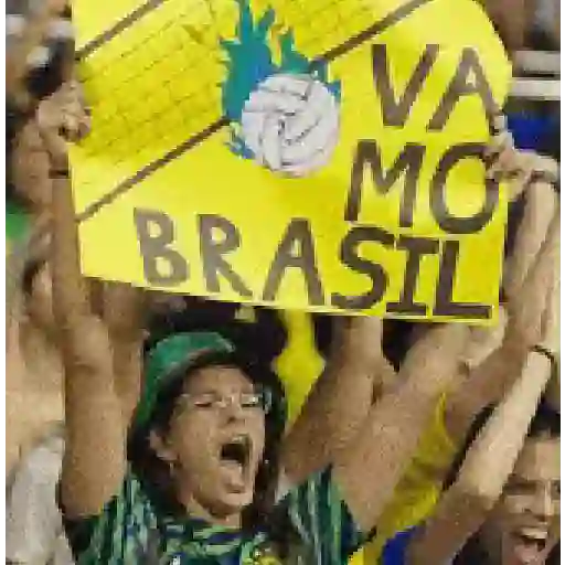 VAI BRASIL!!🇧🇷⚽ sticker 13