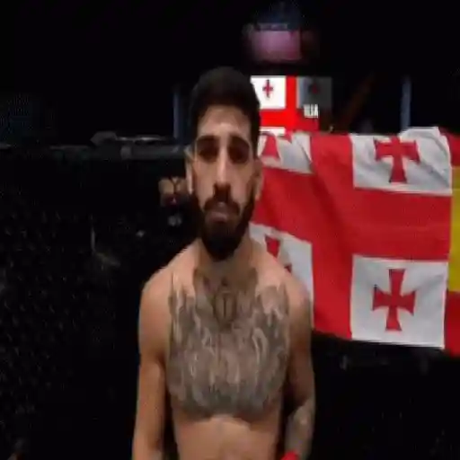 Ilia Topuria UFC sticker 14