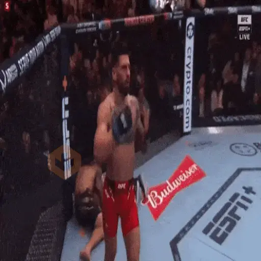 Ilia Topuria UFC sticker 16