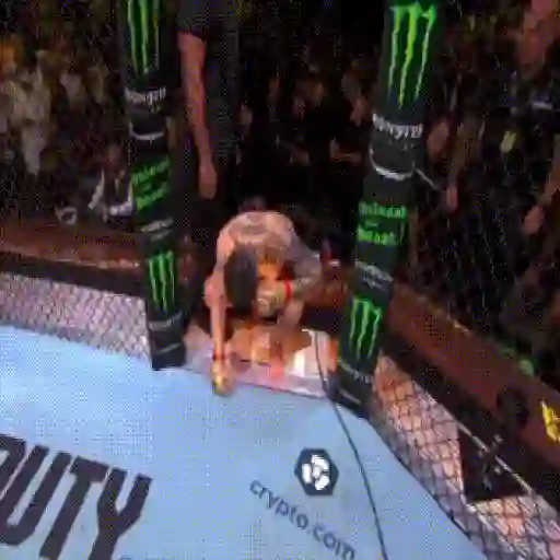 Ilia Topuria UFC sticker 17