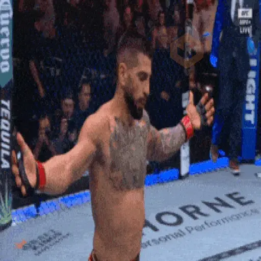Ilia Topuria UFC sticker 15