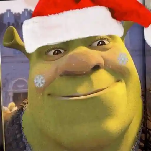 NAVIDAD SHREK RANDOM💚🎄✨ sticker 14