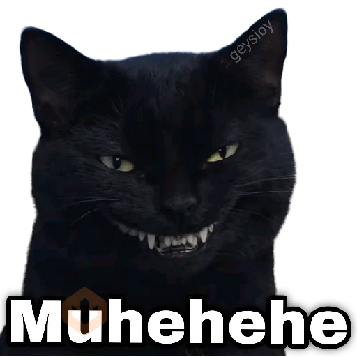 ✨Memes mix 10🪄🔥 sticker 12