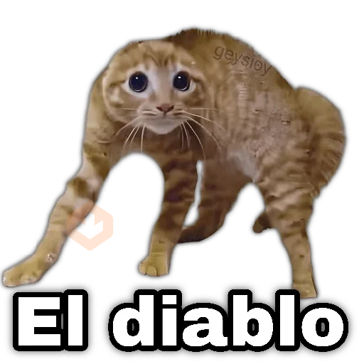 ✨Memes mix 10🪄🔥 sticker 16