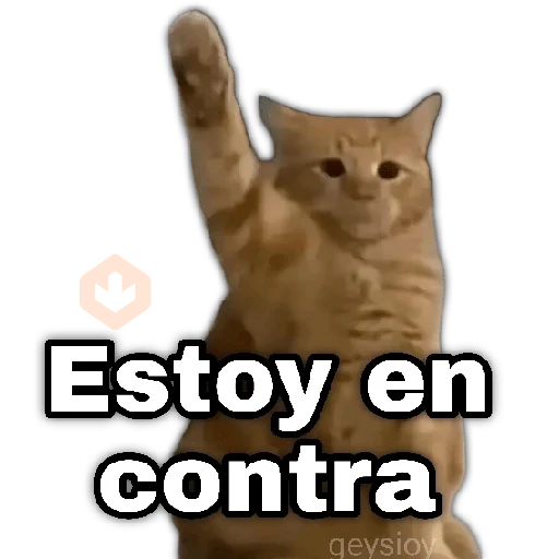 ✨Memes mix 10🪄🔥 sticker 20
