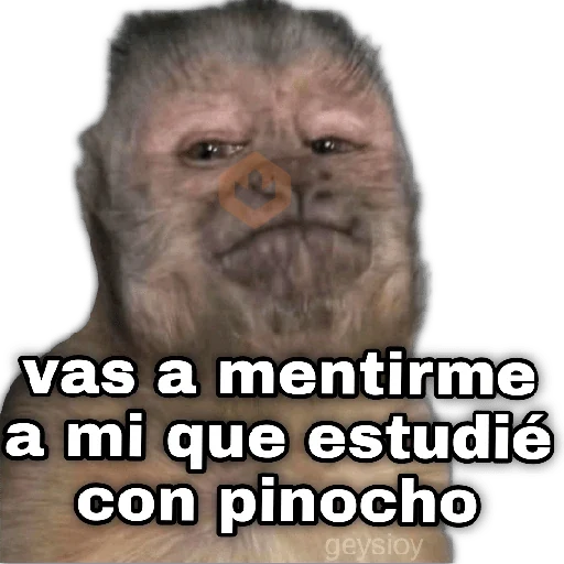 ✨Memes mix 10🪄🔥 sticker 18