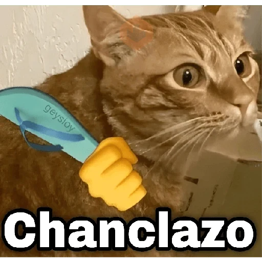 ✨Memes mix 10🪄🔥 sticker 23