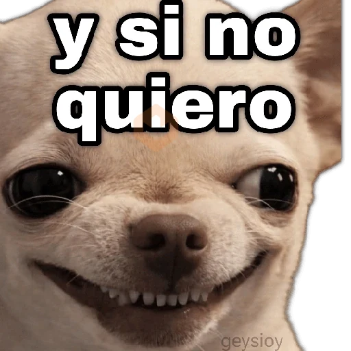 ✨Memes mix 10🪄🔥 sticker 26