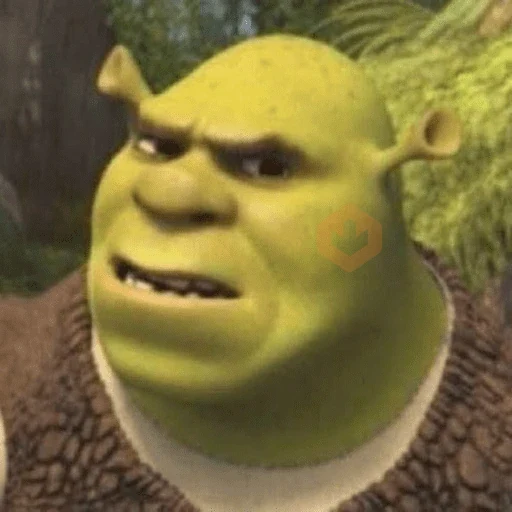 SHREK sticker 11