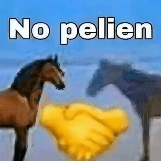 🔝⛽️🥸 • MEMES • 🥸⛽️🔝 sticker 16