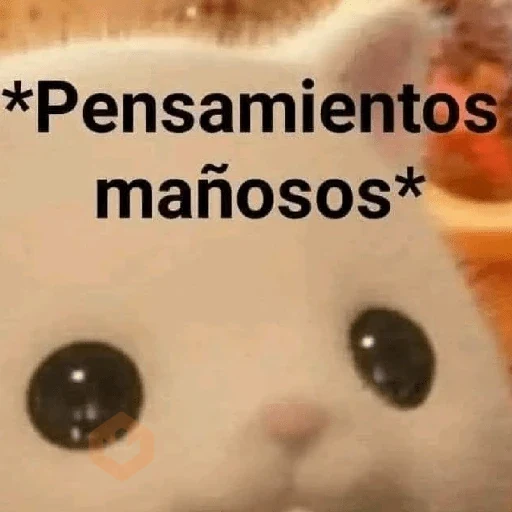 🔝⛽️🥸 • MEMES • 🥸⛽️🔝 sticker 12