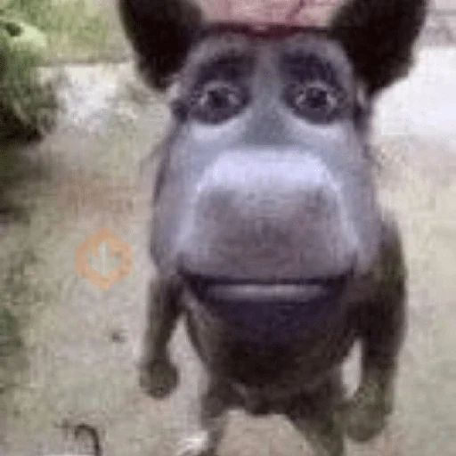 Burro do Shrek sticker 22
