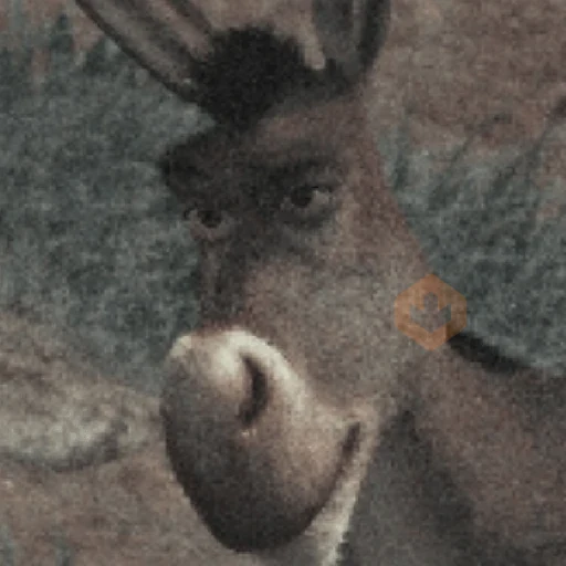 Burro do Shrek sticker 17