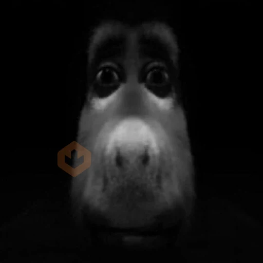 Burro do Shrek sticker 24