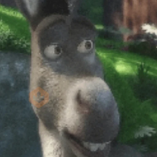 Burro do Shrek sticker 16