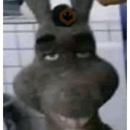 Burro do Shrek sticker 23