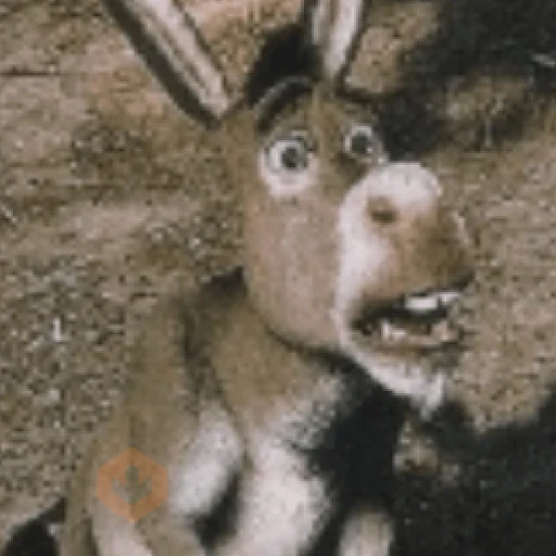 Burro do Shrek sticker 12