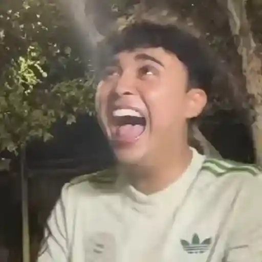 Risas 3 🔥 TIKTOK 😂 sticker 17