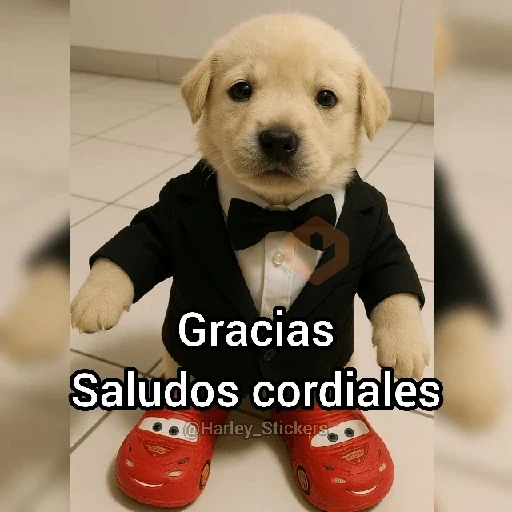 🍷🗿 MEMES ELEGANTES 🗿🍷 sticker 14