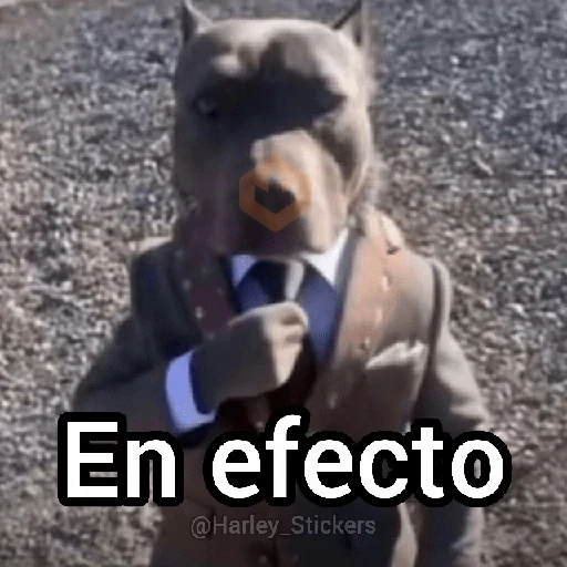 🍷🗿 MEMES ELEGANTES 🗿🍷 sticker 13