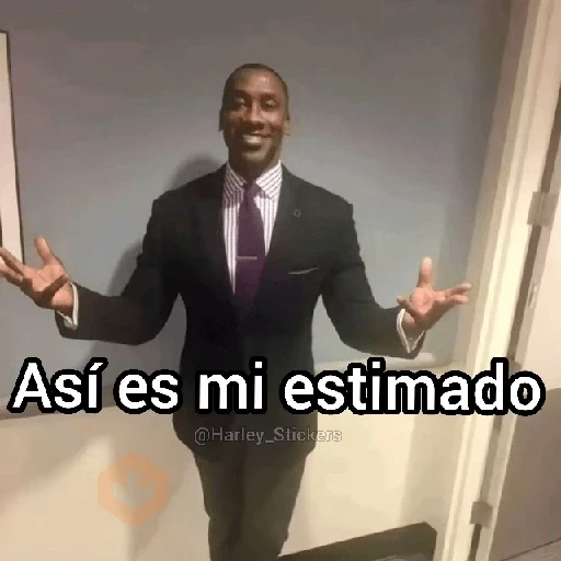 🍷🗿 MEMES ELEGANTES 🗿🍷 sticker 12