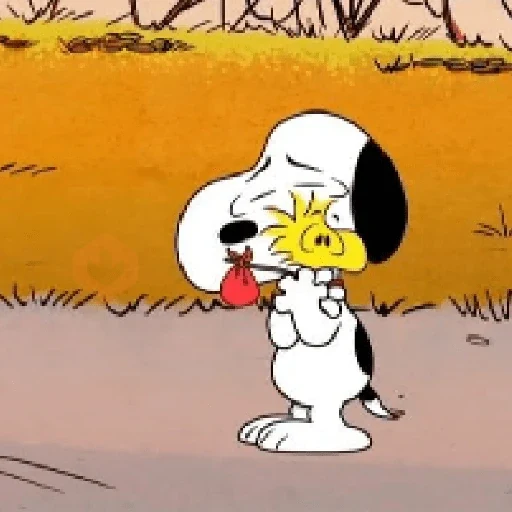 Snoopy shows🪄 2️⃣✨ sticker 20