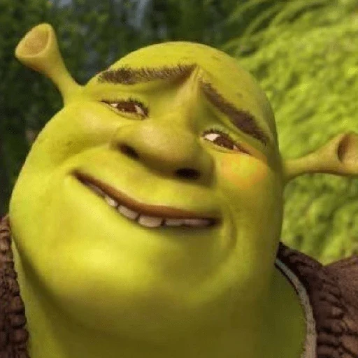 Shrek 💚 sticker 11