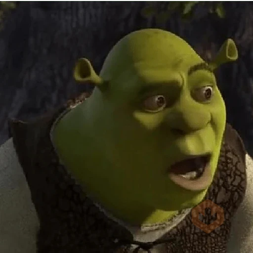 Shrek 💚 sticker 21