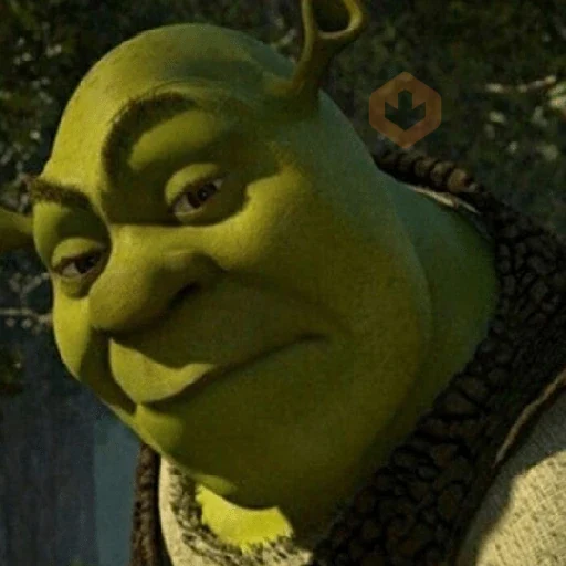 Shrek 💚 sticker 15