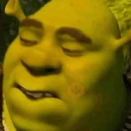 Shrek 💚 sticker 25