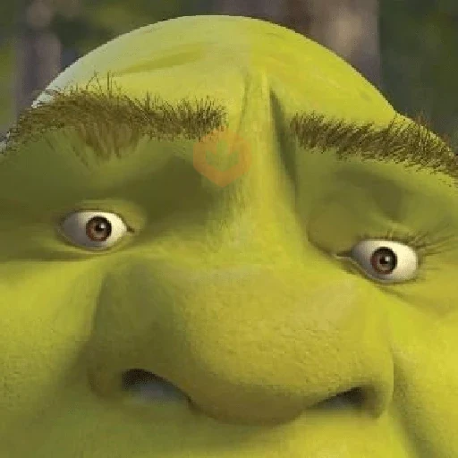 Shrek 💚 sticker 13