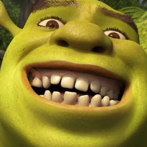 Memes do Shrek sticker 20