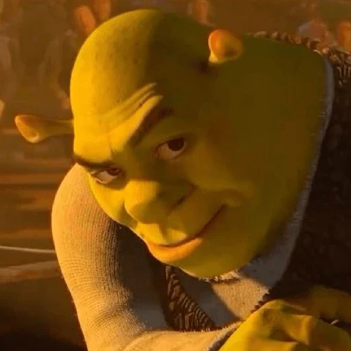 Memes do Shrek sticker 16