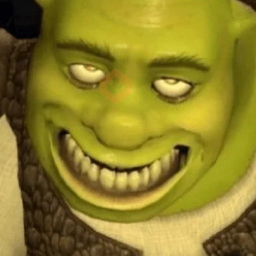 Memes do Shrek sticker 18