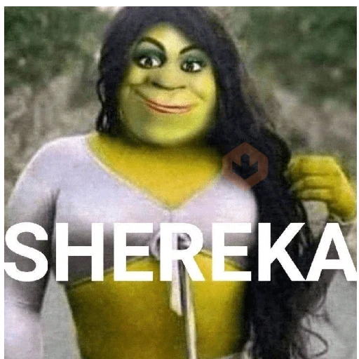Memes do Shrek sticker 11