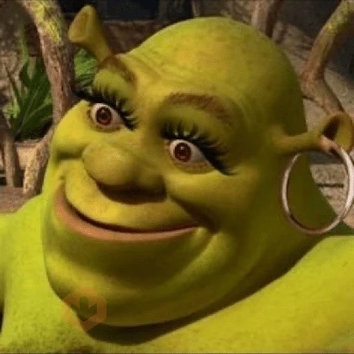 Memes do Shrek sticker 12