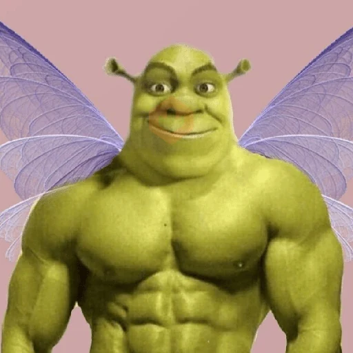 Memes do Shrek sticker 13