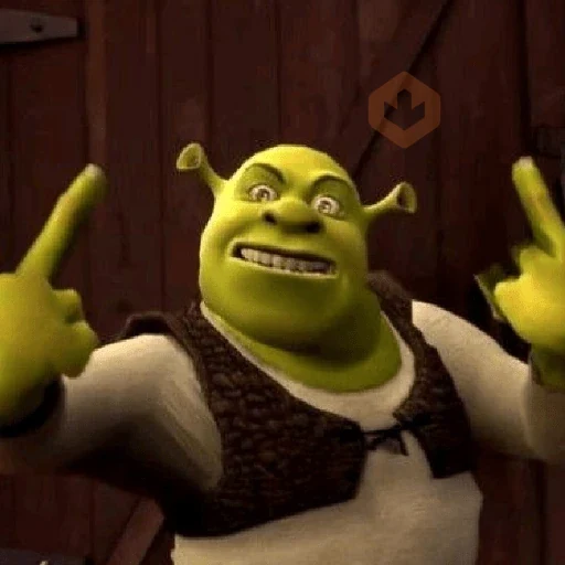 Memes do Shrek sticker 15