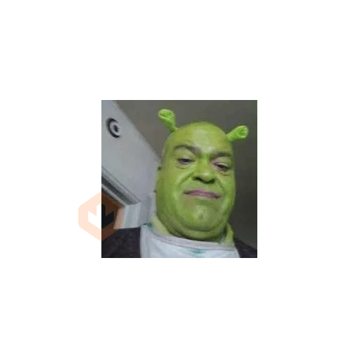 Shrek sticker 24