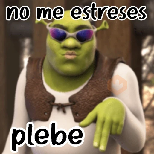 Shrek sin filtros 💥✅️ sticker 17