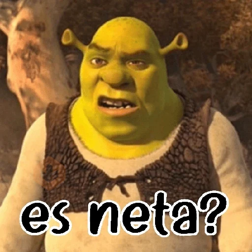 Shrek sin filtros 💥✅️ sticker 19