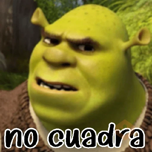 Shrek sin filtros 💥✅️ sticker 21