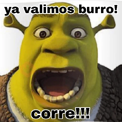 Shrek sin filtros 💥✅️ sticker 22