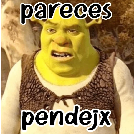 Shrek sin filtros 💥✅️ sticker 18